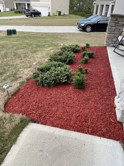 Jose and his team came out and gave me an excellent quote for a ton of very tall tree trimming in my backyard