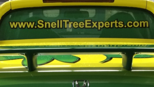  alt='Absolutely excellent! Snell Tree Experts consistently exceed my expectations'