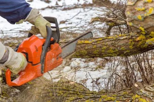 A big shout to the guys at Affordable Tree Care outside of Burnsville. Mr