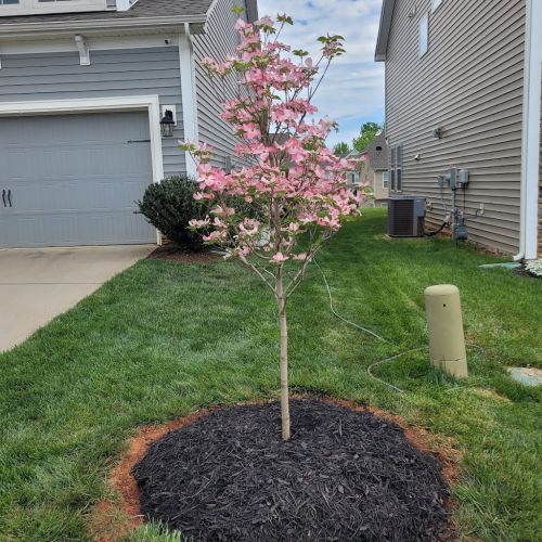  alt='This guy knows his stuff! Talk about a lawn care professional. For several years he has worked in our neighborhood making'