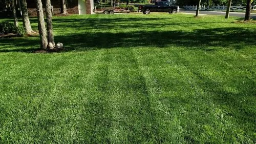 This guy knows his stuff! Talk about a lawn care professional. For several years he has worked in our neighborhood making