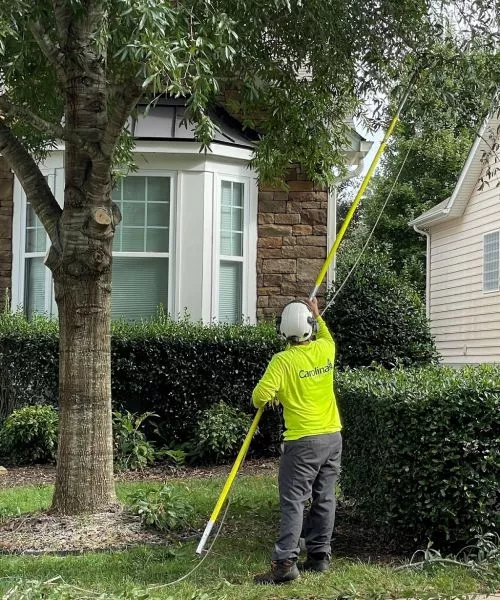 Knowledgeable and professional GF and crew. Did a great job, and cleaned all debris afterwards. Highly recommend this crew. 