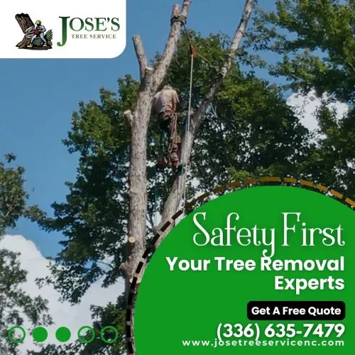 Excellent service! Fast and efficient work. Cleaned up quickly after cutting trees. Always responsive to text