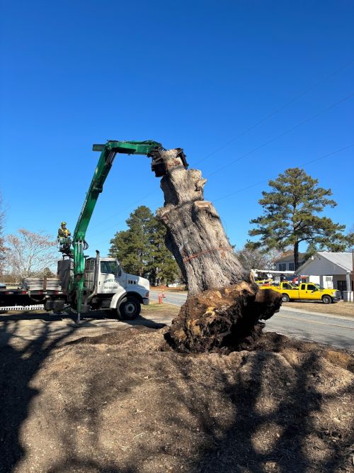  alt='We are very pleased with the job Wayne’s Tree Service did at our home'