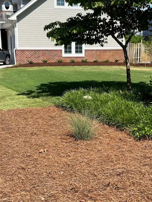 Albemarle Landscaping has worked with us for over a year prepping the yard, designing the landscaping around the pool, and