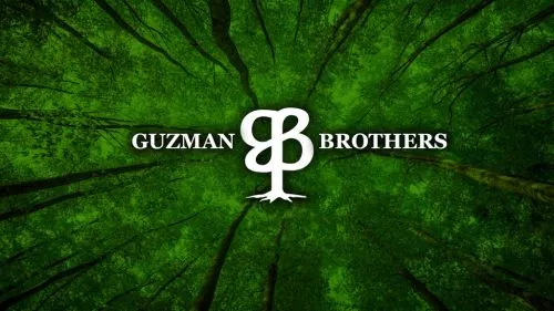 Guzman Brothers Tree Service were wonderful. These guys did an excellent job with trimming trees and removing this large