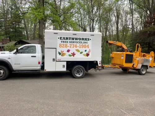 Earthworks tree service did a fantastic job. From the timely estimate to the final project clean up. Job well done