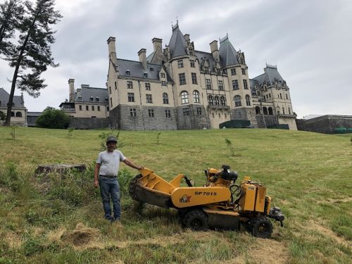  alt='Asheville Stump Grinding 🌳 Thank you for helping us remove the stump and make everything ready for us to build the porch at'