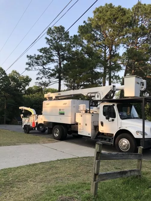 Removed a large Magnolia tree from my front yard. They did a great job and were careful of the fence and other trees in the