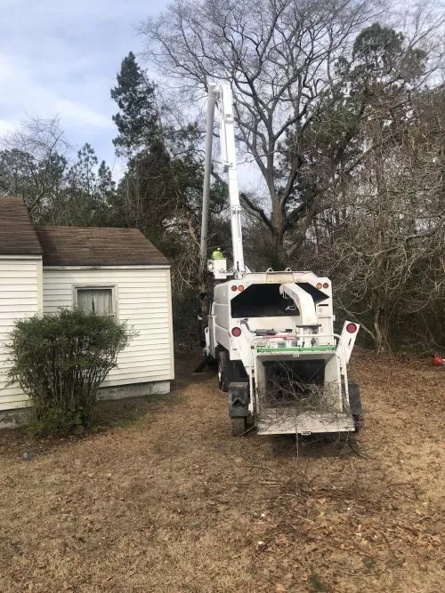 Great job by Grind-Rite. Had a rather large limb on our garage. Pete and Paul did exceptional work