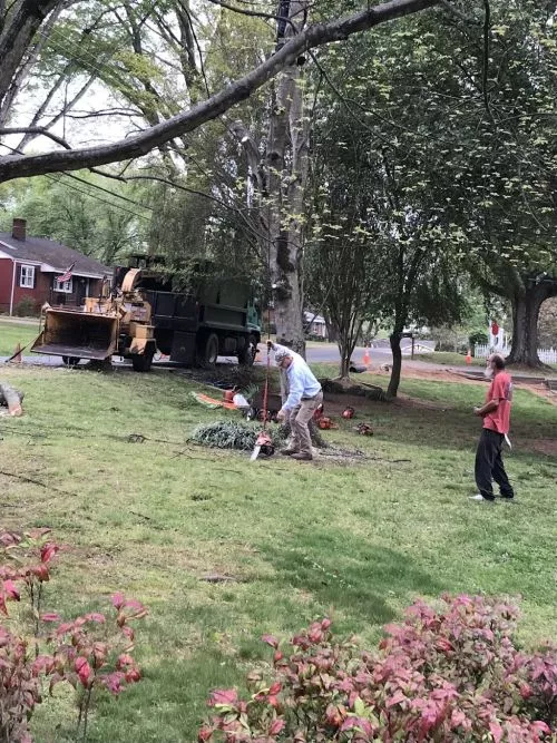 John is very professional and takes pride in his work. He took down a tree for me safely and cleaned up completely