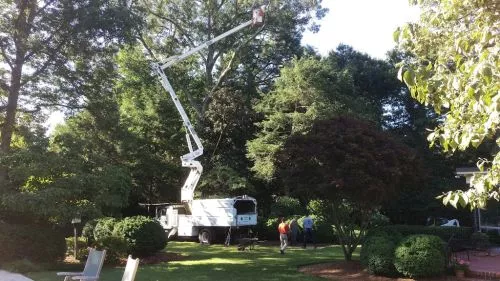 Last Friday another tree company failed to show up for an estimate appointment