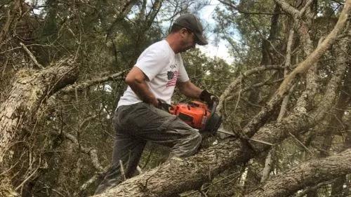 Jeff and his crew were on time and available when I needed a couple of trees removed because of the storms that hit Sanford