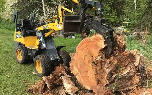 I recently had an old tree removed from my backyard. I was fearful the tree may cause damage or eventually fall, and my