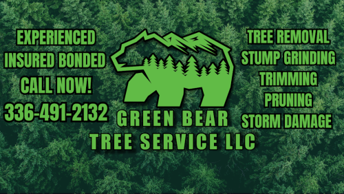  alt='I had 9 large trees cut down by Green Bear Tree Service in April'