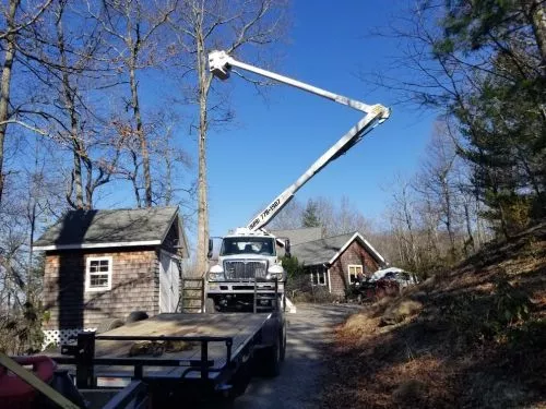 Great work . Remove 3 Jack pines at least 80 feet tall or more, show up the crew was helpful left everything clean, And