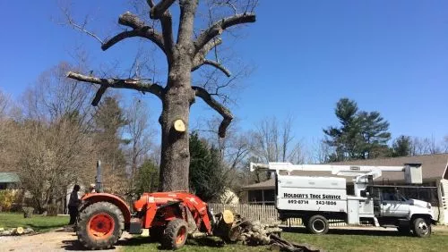 Holbert had an excellent crew, remarkable new equipment including a cherry picker and chipper They were prompt, efficient,