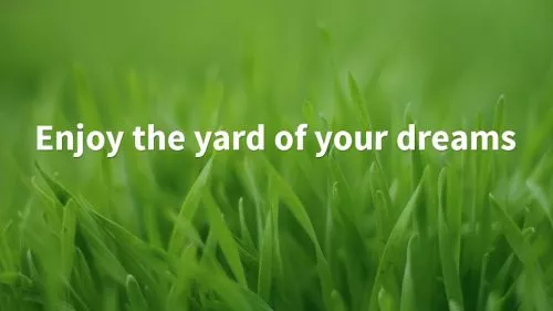 My backyard had GRASS a year ago. I hired Tailor Made Lawn to improve my yard that already had grass