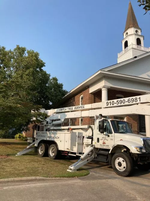 Victor and his crew did a great job removing our trees. Highly recommend Birtch Tree Service. 