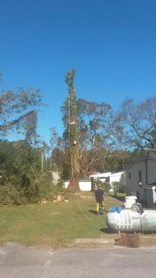 Mr. Hill helped us get rid of a huge oak tree which had been struck by lightening back during the summer