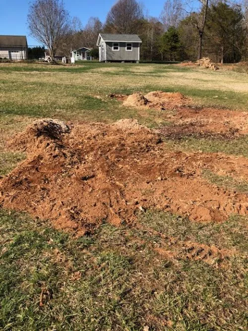 I had the pleasure of meeting these folks July 18, 2021 and they removed two Bradford Pear Tree stumps for me