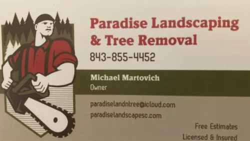 I cannot speak highly enough of Mike and his crew. I live in Michigan and needed some trees and shrubs removed for a septic