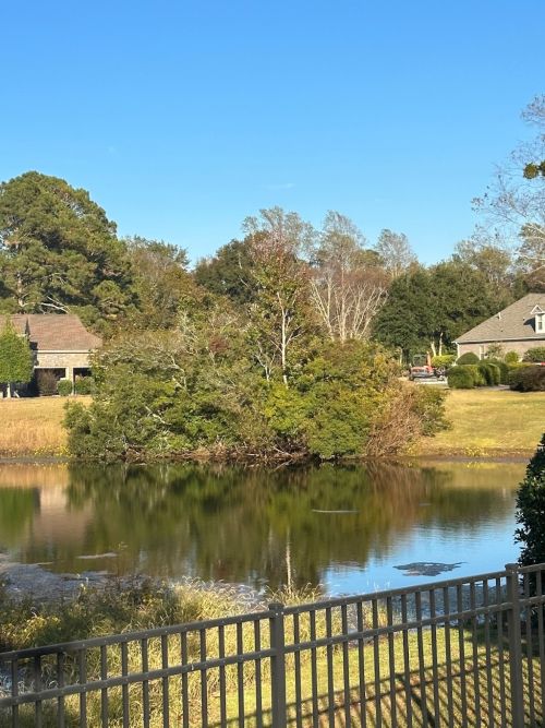  alt='This company turned my new home into a nightmare - we hired Lamar to do some yard work for our new home and you can see'