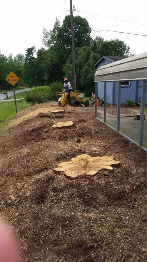 This is the third time I have worked with Triad Stump Grinding and I will continue to have them back for any other stump