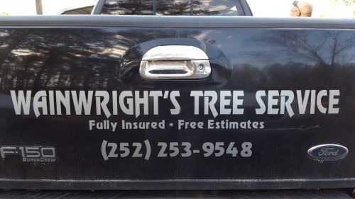  alt='Great service. Took down trees, grinded stumps and cleaned all the debris in a timely matter'