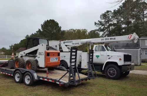 I can"t comment about their ability to remove trees but their truck was driving around our neighborhood and in broad