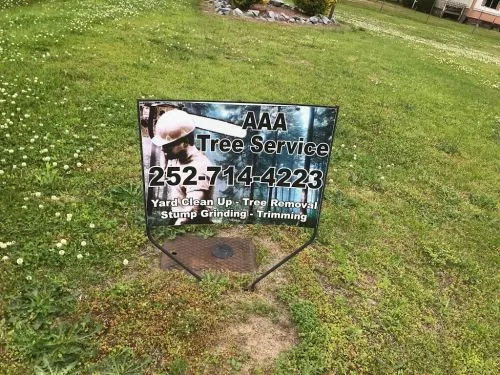 Matt and his crew did an outstanding job removing a very large dead pine from my yard