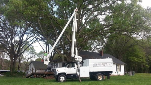  alt='Michael recently came and took care of one of our big oak trees. He removed all of the dead limbs and extra weight'