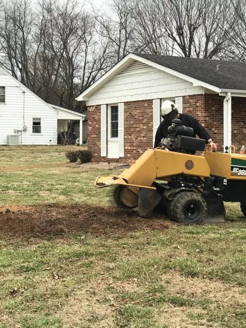 I used google to find local stump removal and James had best rating and he did a 5 star job .  Quick to respond to inquiry 